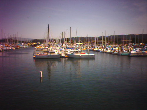 A Monterey View