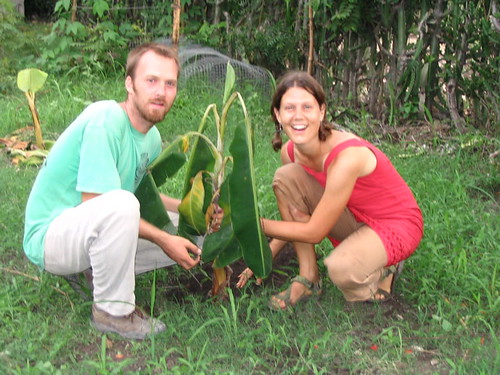 Planting a Banana Tree 2.JPG