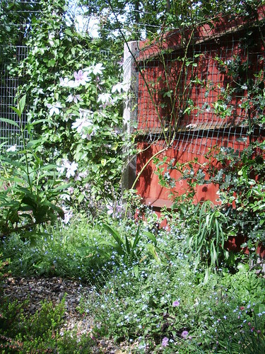 London Garden 28 May 2005 021
