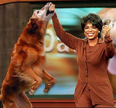 Oprah_Attack_Wookie