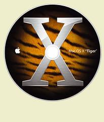 CD Tiger Blog
