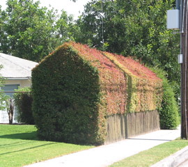 Hedge House!