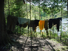 Clothes_Hanging_2120