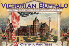 Victorian Buffalo