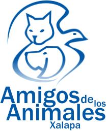 Amigos de los Animales AC Xalapa